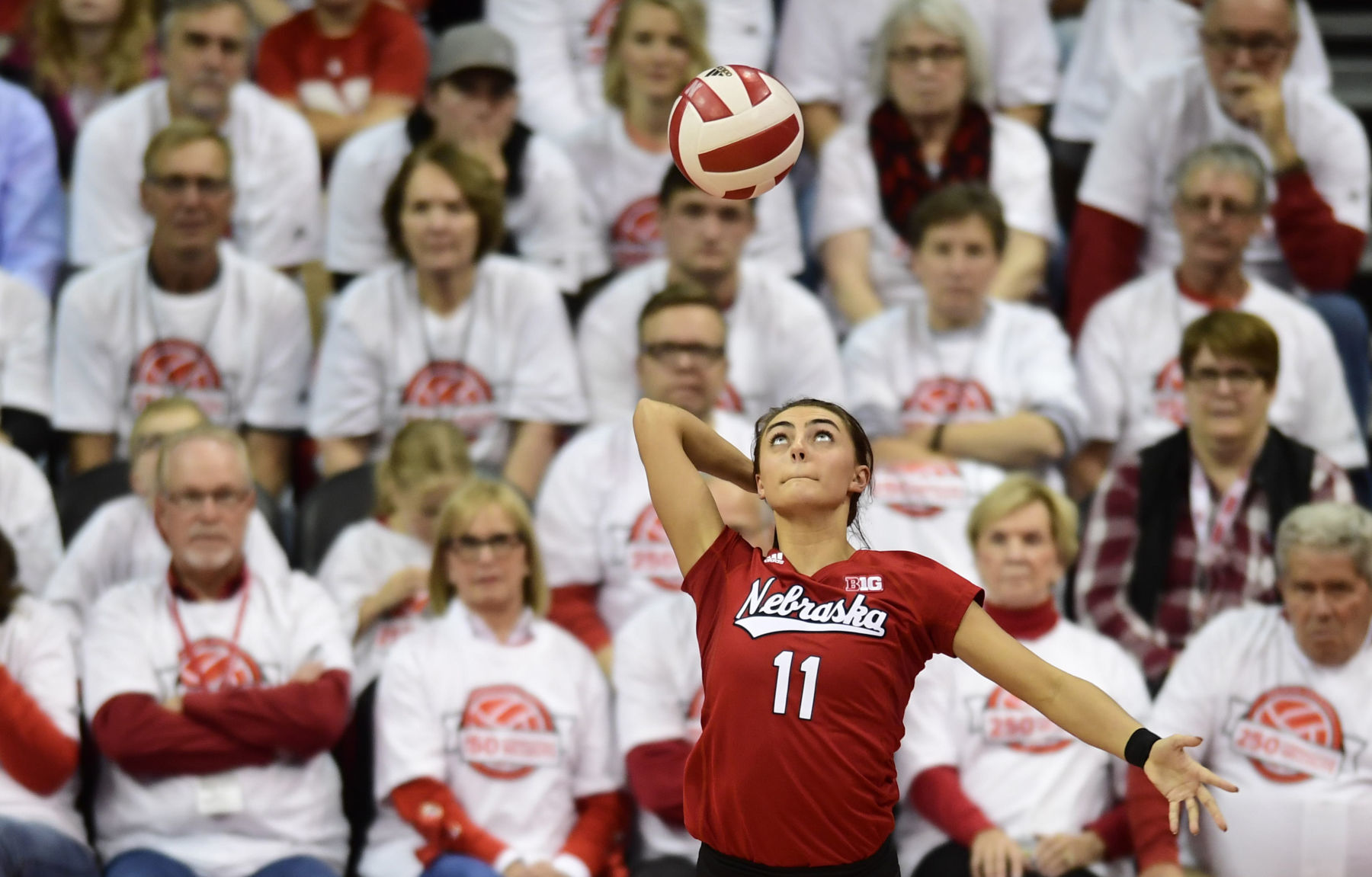 NU volleyball vs. Penn State, 11/02